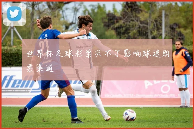 世界杯足球彩票买不了影响球迷购票渠道