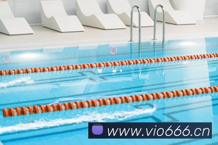 App Interface Preview