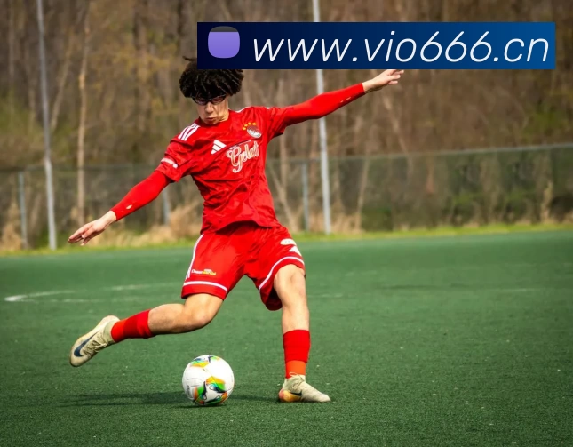 开云手机官方版在线入口 - 开云(中国)APP 封面图